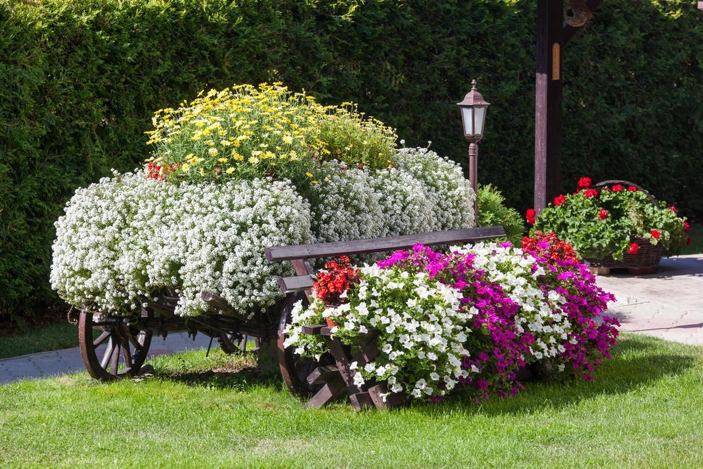 Vila Aleksandra Zlatibor Bagian luar foto